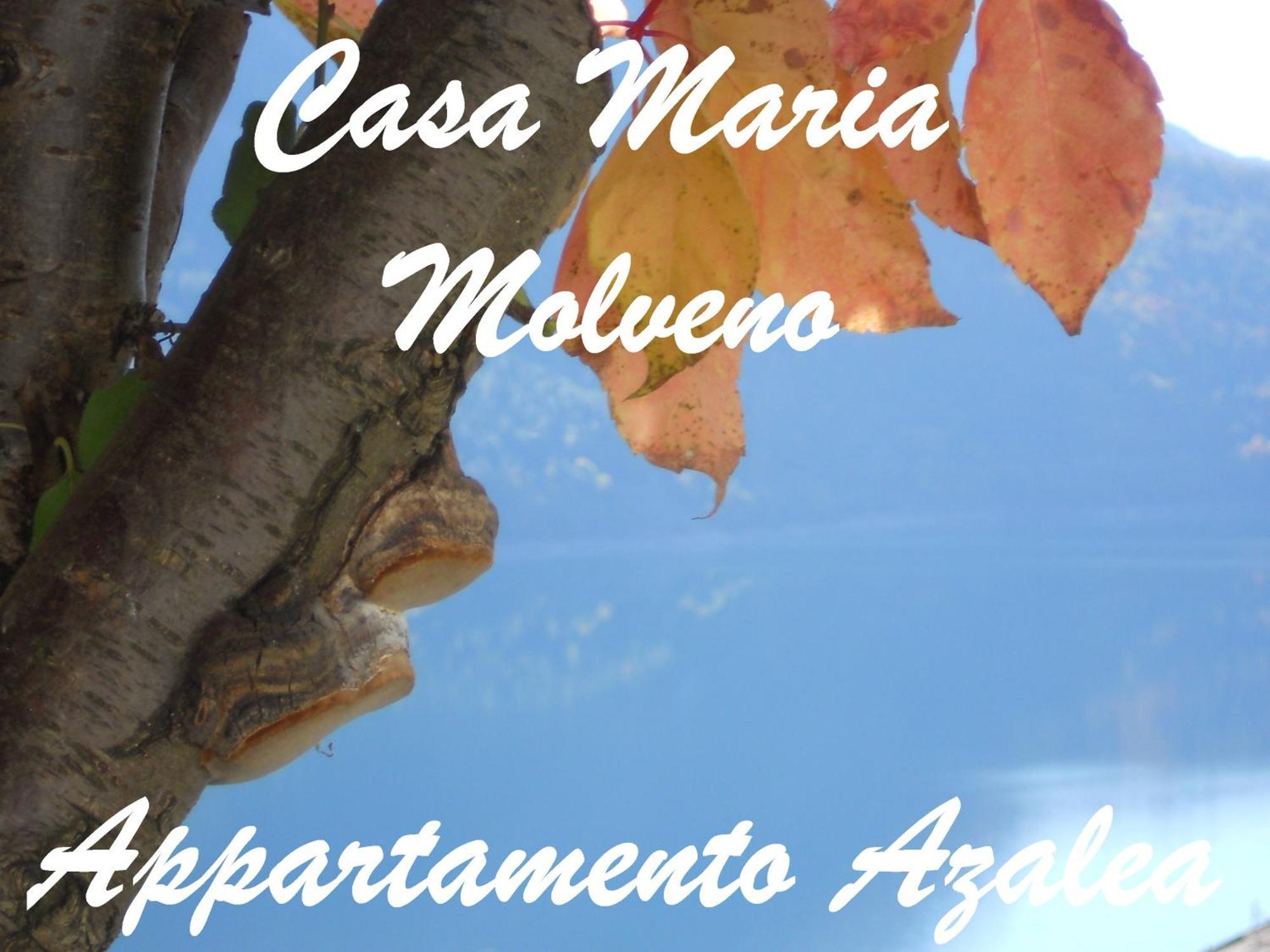 Casa Maria Leilighet Molveno Rom bilde